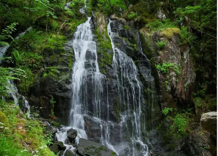 Bed & Breakfast Espace Cocooning